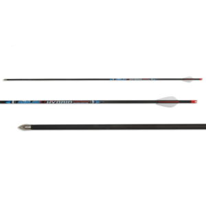 Avalon Hybrid Carbon Arrow